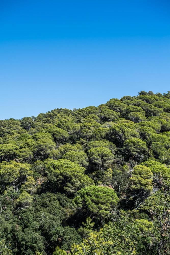 Camping Sunissim Cala Llevado 4 By Locatour Hotel Tossa de Mar Buitenkant foto